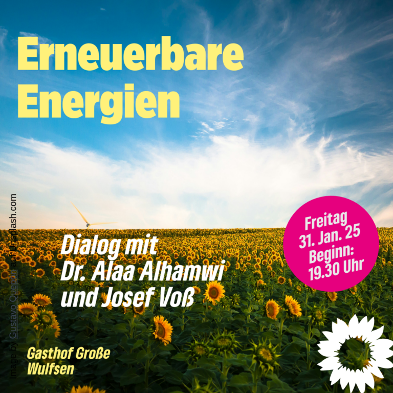 Diskussionsrunde: Erneuerbare Energiekonzepte